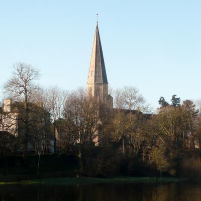 L'église de Trévières vue du marais