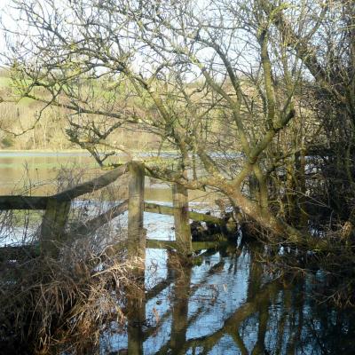 Le marais, au pied de Mandeville-en-Bessin