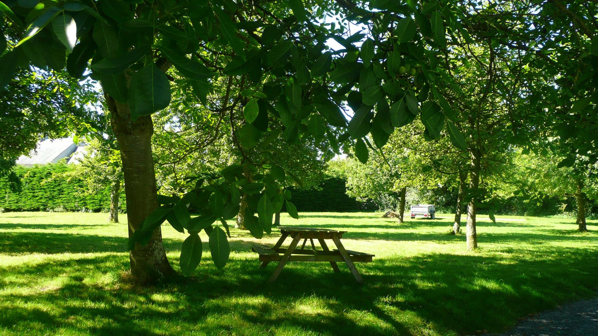 Le parc, dans le verger